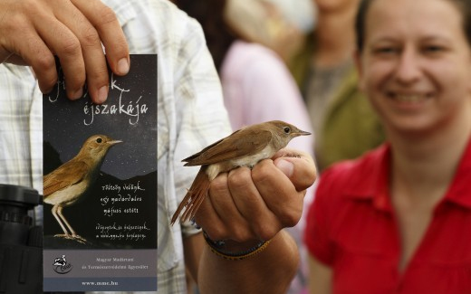 Országszerte mintegy 50 helyszínen szerveznek fülemülesétát május végéig
