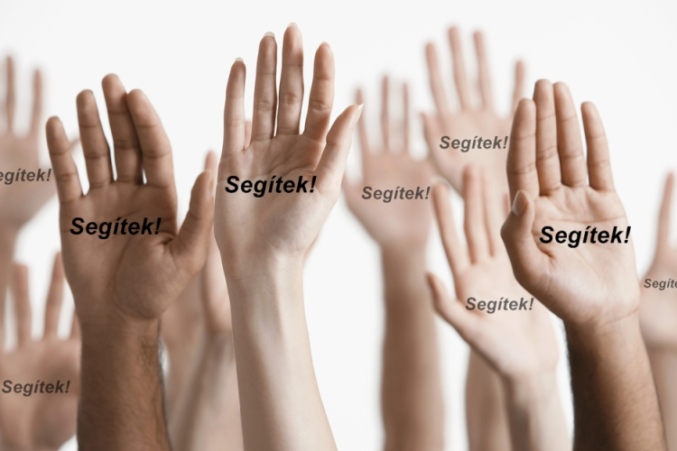 Ma van az önkéntesek világnapja!