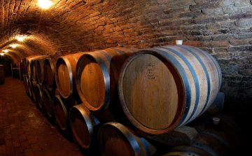 Dúzsi Tamás Győrben, a Golden Ball Clubban