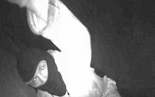 Páncélszekrénnyel együtt vitték el a pénzt Töltéstaván