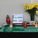 2013.10.13. Vasárnap Összefogás Gála Fotók:árpika