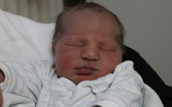 Hapli Beznát Bendegúz