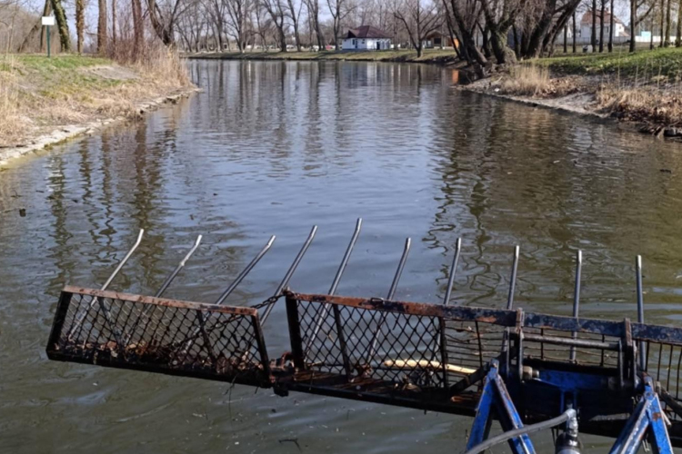 Kiszedték az uszadékfát a holtágról