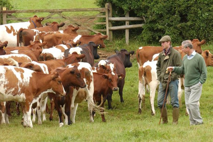 Károly walesi herceg a homeopátia lelkes támogatója