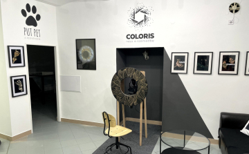 Csak semmi szemfényvesztés!-Az íriszfotózás és extrém kisállat fotózás művészete!