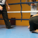 2013.02.16.Szombat Profi MMA És Box Mérkőzés Fotók:árpika