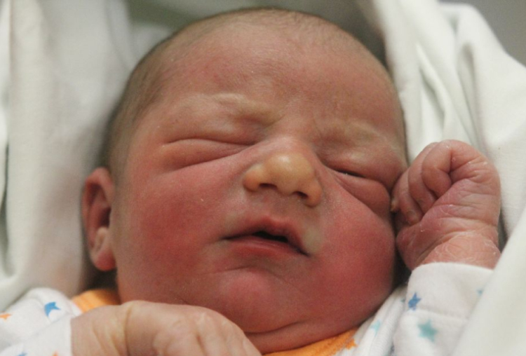 Kókai Levente Milán 