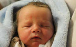 Hruskár Benedek József