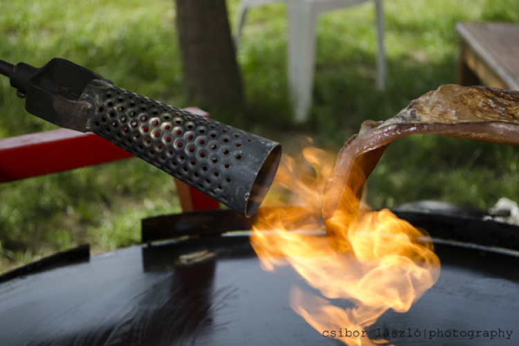 Mackó Kuckó jótékonysági evőverseny és 5. születésnap
