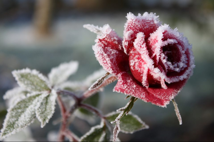 Hétvégén már jöhet a fagy