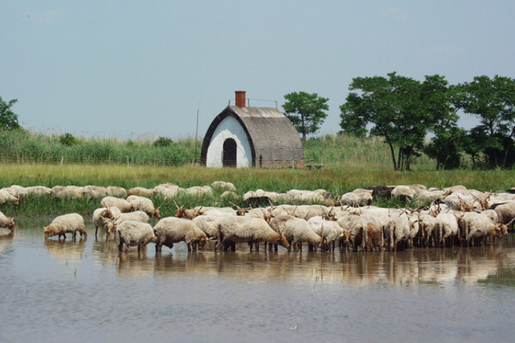 Turisztikai fejlesztések indulnak a Fertő- tájon 