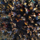 Best of Volt Fesztivál II.