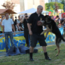 2013.06.23.Vasárnap SzFeszt 4.nap Fotók.árpika