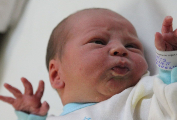 Kovács Benett Ferenc 