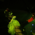 Club Mundo - Julia Carpenter 2013.08.10. (szombat) (1) (Fotók: Mundo)