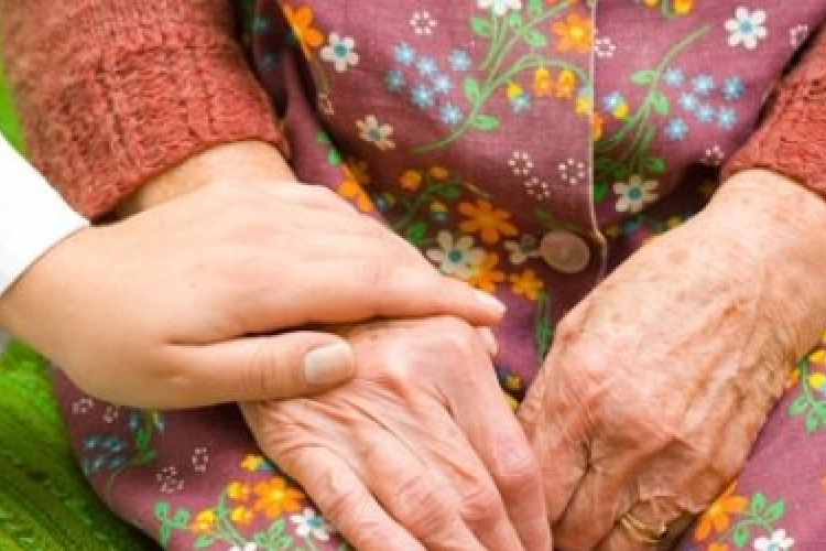 Papírgyűjtés helyett egymillió forintot loptak