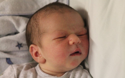 Csóka László Kornél