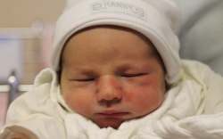 Veszprémi-Papp Dominik