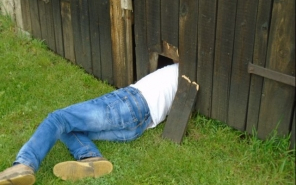 Zárás után nyitottak - videóval, képekkel