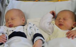 Tolnai József Gergő,Tolnai Zsófia Renáta