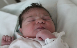 Olasz Titanilla Zsófia 