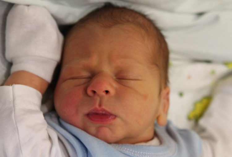 Halmos Máté Benedek