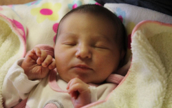 Punk-Péntek Emilía 