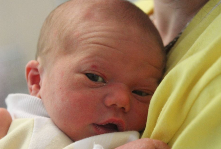 Marász Bence Ferenc 