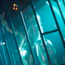 Club Vertigo - Muzzaik 2014.10.04. (szombat)