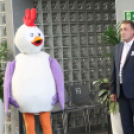 2017.07.26. EYOF 2017 Győr 3.nap Fotók:árpika 