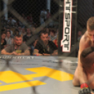 2015.05.09. Profi MMA Gála fotók:árpika