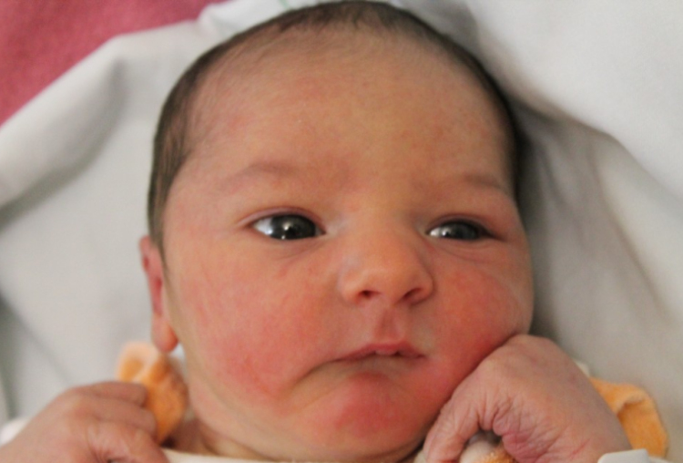 Kovács Ádám Dominik