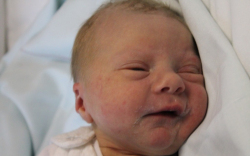 Halász Máté Ádám