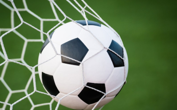 Az újrakezdés művészete - Szövetségi kapitányváltás