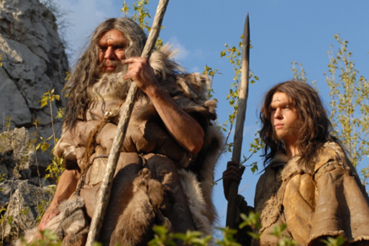 Kilencvenezer éves neandervölgyi faeszközökre leltek