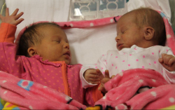 Németh Luca és Németh Maja 