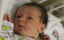 Takács-Fidrik Áron 