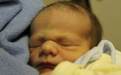 Sinka Barnabás István