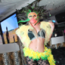 2014.03.29 Mamma Mia  Sugarbird 1.Birthday és a FeelharmonX Fotók:árpika 