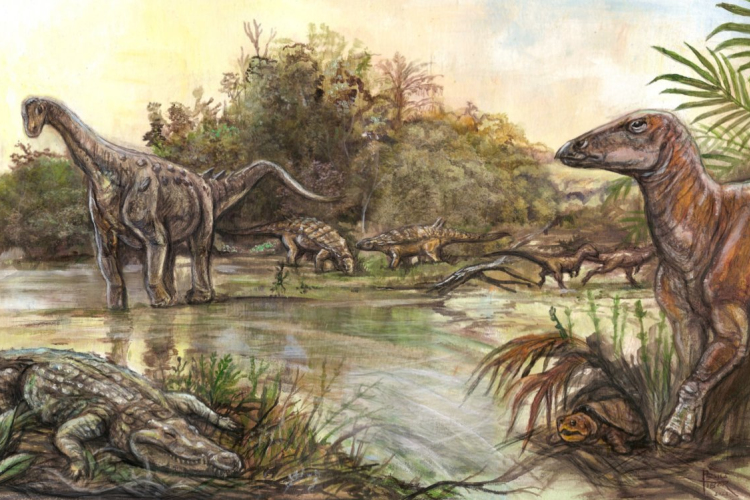 Újabb növényevő dinoszauruszok csontvázát találtak a Hátszegi-medencében