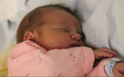 Pálfi-Kovács Zsófia 