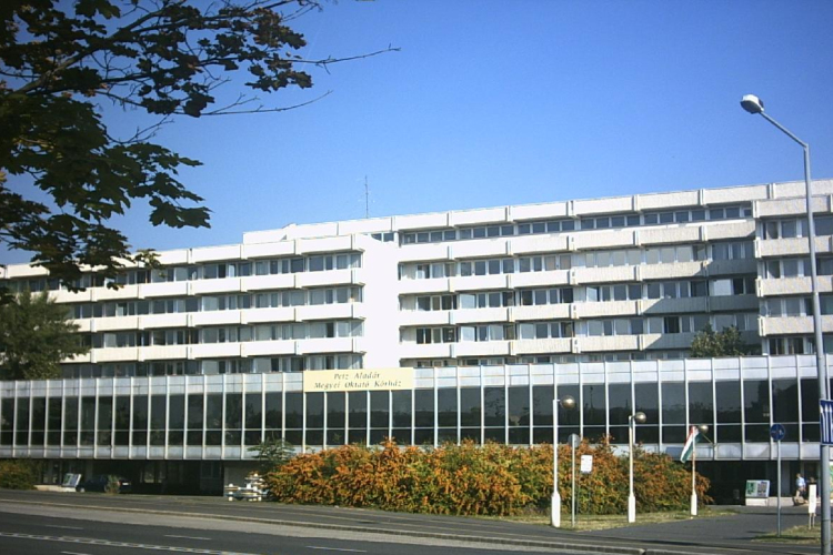 A győri kórház főigazgató főorvosa a hűtlen kezelés gyanújába keveredett