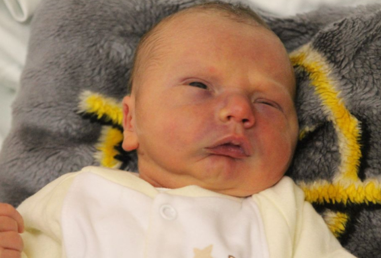 Kállai Dárius Attila 