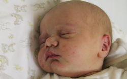 Tóth Gergely Máté