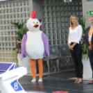 2017.07.26. EYOF 2017 Győr 3.nap Fotók:árpika 