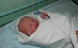 Illemszky Felícia Mercédesz