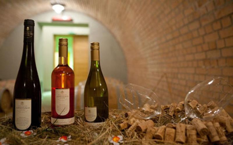 Itt vannak a „Fesztivál borai”!