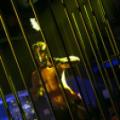 Club Vertigo -  Led & Fetish 2014.01.25. (szombat)