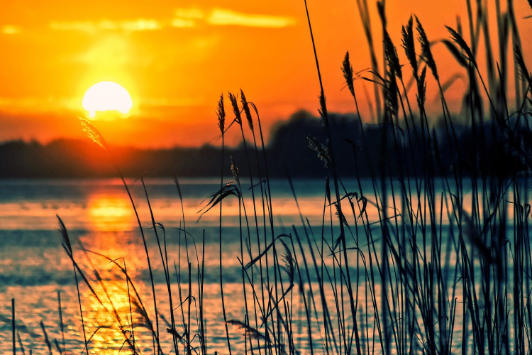 Meleg és száraz volt a tavalyi év