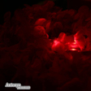 04.23. Lapos Party - Antonyo